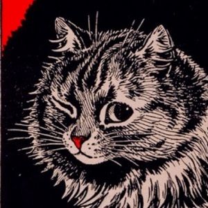 Meet your Posher, Gina